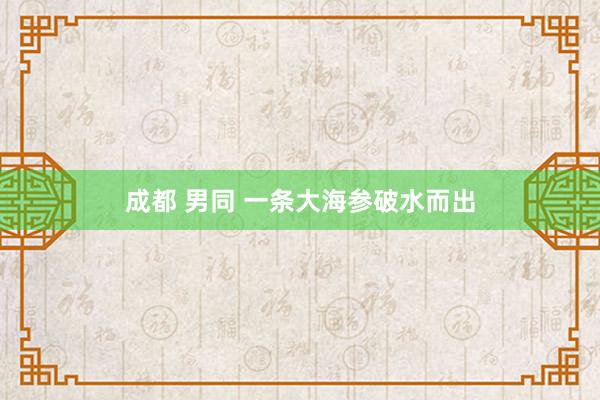 成都 男同 一条大海参破水而出