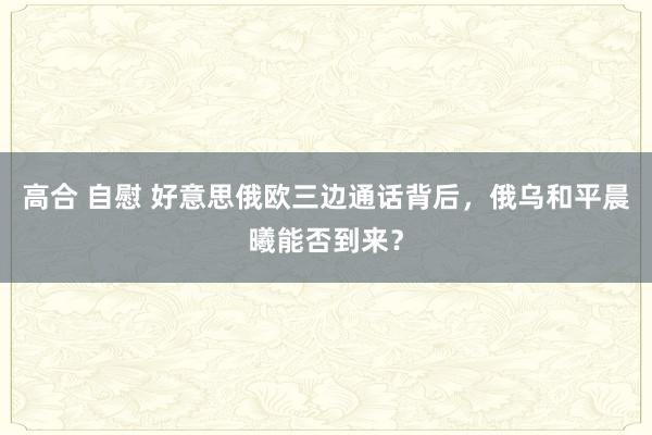 高合 自慰 好意思俄欧三边通话背后，俄乌和平晨曦能否到来？