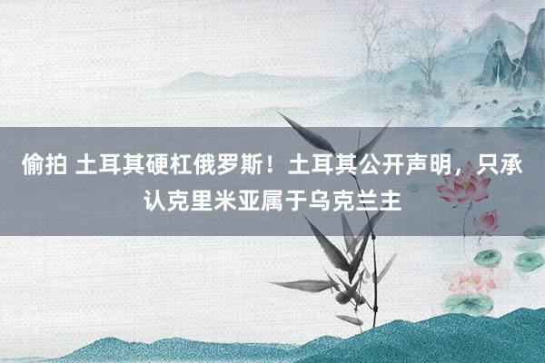 偷拍 土耳其硬杠俄罗斯！土耳其公开声明，只承认克里米亚属于乌克兰主