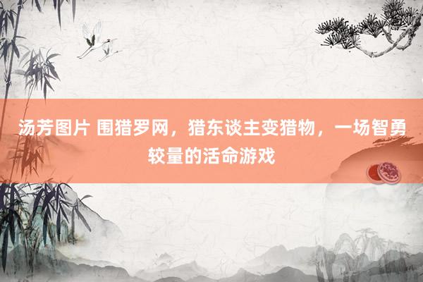 汤芳图片 围猎罗网，猎东谈主变猎物，一场智勇较量的活命游戏