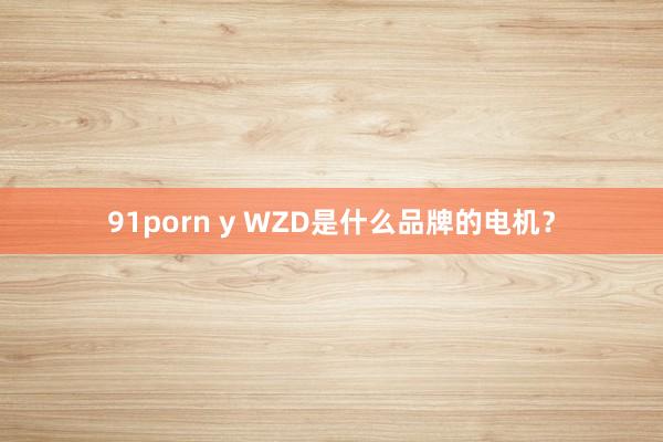 91porn y WZD是什么品牌的电机？