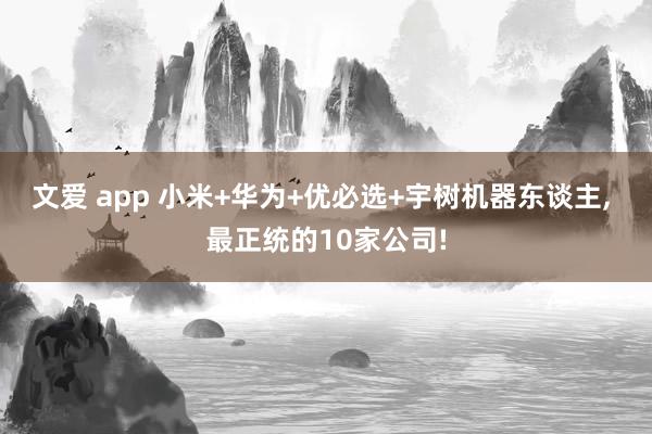 文爱 app 小米+华为+优必选+宇树机器东谈主， 最正统的10家公司!