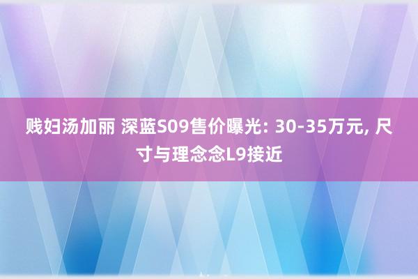 贱妇汤加丽 深蓝S09售价曝光: 30-35万元， 尺寸与理念念L9接近