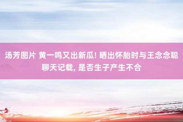 汤芳图片 黄一鸣又出新瓜! 晒出怀胎时与王念念聪聊天记载， 是否生子产生不合