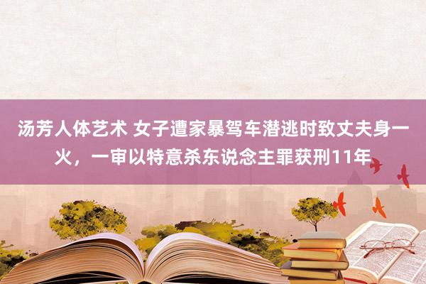 汤芳人体艺术 女子遭家暴驾车潜逃时致丈夫身一火，一审以特意杀东说念主罪获刑11年