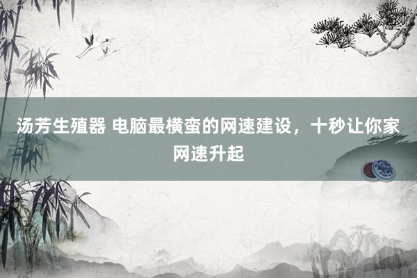 汤芳生殖器 电脑最横蛮的网速建设，十秒让你家网速升起
