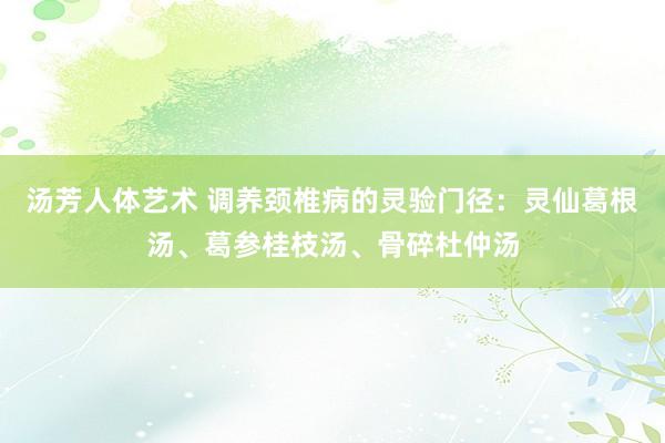 汤芳人体艺术 调养颈椎病的灵验门径:灵仙葛根汤、葛参桂枝汤、骨碎杜仲汤