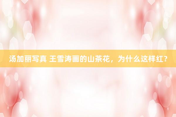汤加丽写真 王雪涛画的山茶花，为什么这样红？