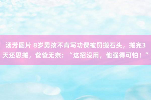 汤芳图片 8岁男孩不肯写功课被罚搬石头，搬完3天还思搬，爸爸无奈：“这招没用，他强得可怕！”